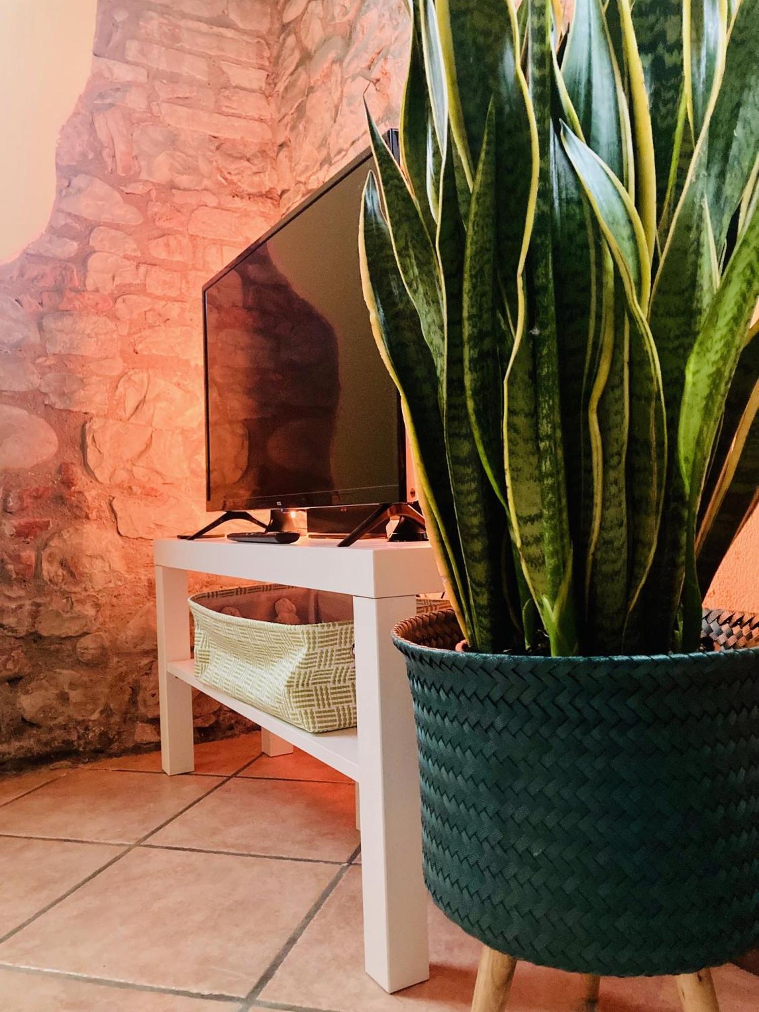 Residenza Borgo 9 Διαμέρισμα Collecchio Εξωτερικό φωτογραφία
