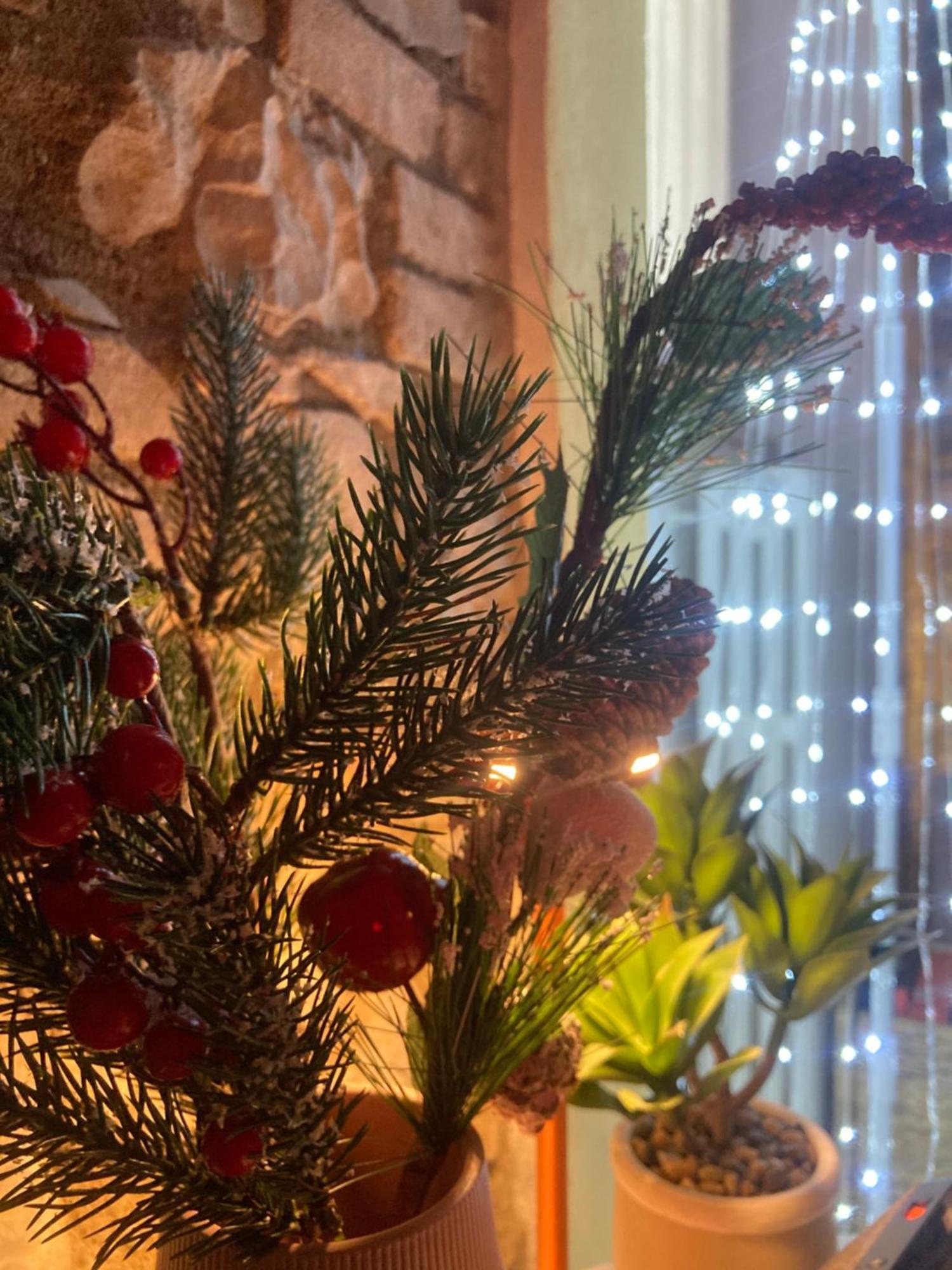 Residenza Borgo 9 Διαμέρισμα Collecchio Εξωτερικό φωτογραφία